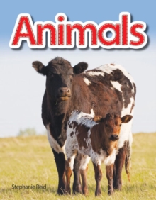 Animals : Animals