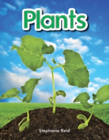 Plants : Plants