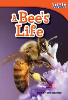 Bee's Life