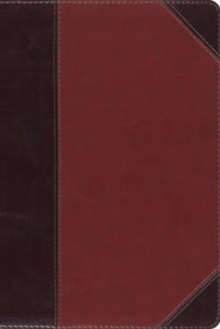 ESV Study Bible, Personal Size, Leather / fine binding Book ESV Study Bible, Personal Size, Leather / fine binding Book