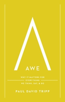 Awe : Why It Matters for Everything We Think, Say, and Do