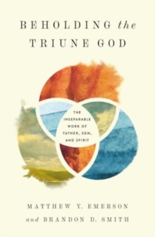 Beholding the Triune God : The Inseparable Work of Father, Son, and Spirit