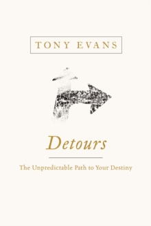 Detours : The Unpredictable Path to Your Destiny