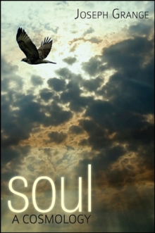 Soul : A Cosmology