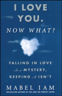 I Love You. Now What? : Falling in Love is a Mystery, Keeping It Isn't