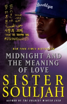 Midnight and the Meaning of Love, Paperback Book Midnight and the Meaning of Love, Paperback Book