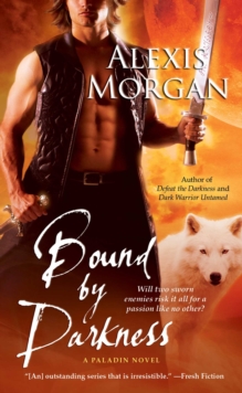 Bound by Darkness : A Paladin Novel