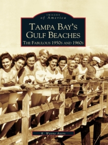 Tampa Bay's Gulf Beaches