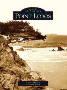 Point Lobos