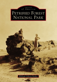 Petrified Forest National Park