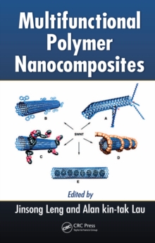 Multifunctional Polymer Nanocomposites