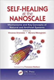 Self-Healing at the Nanoscale : Mechanisms and Key Concepts of Natural and Artificial Systems, Hardback Book Self-Healing at the Nanoscale : Mechanisms and Key Concepts of Natural and Artificial Systems, Hardback Book