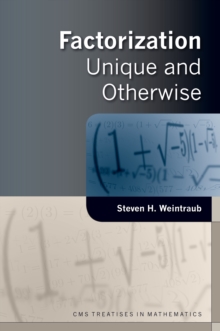 Factorization : Unique and Otherwise