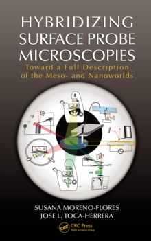 Hybridizing Surface Probe Microscopies : Toward a Full Description of the Meso- and Nanoworlds