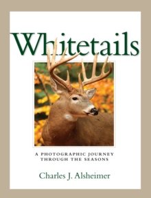 Whitetails