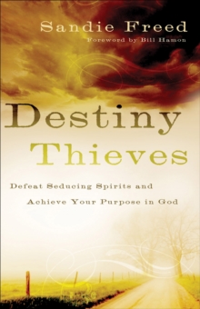 Destiny Thieves : Defeat Seducing Spirits and Achieve Your Purpose in God