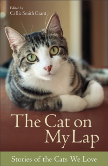 The Cat on My Lap : Stories of the Cats We Love