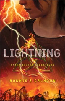 Lightning (Stone Braide Chronicles Book #2) : A Novel