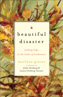 A Beautiful Disaster : Finding Hope in the Midst of Brokenness