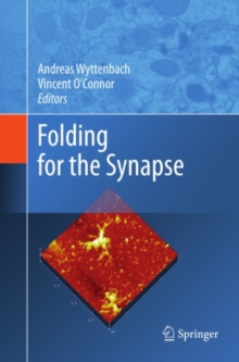 Folding for the Synapse