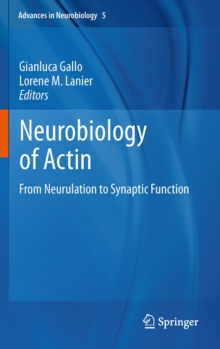 Neurobiology of Actin : From Neurulation to Synaptic Function