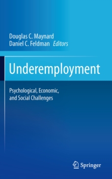 Underemployment : Psychological, Economic, and Social Challenges