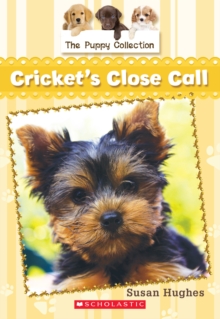 The Puppy Collection #6: Cricket's Close Call