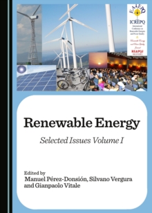 None Renewable Energy : Selected Issues Volume I