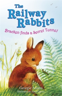 Bracken Finds a Secret Tunnel : No. 5, Paperback Book Bracken Finds a Secret Tunnel : No. 5, Paperback Book