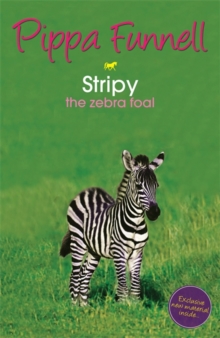 Stripy : The Zebra Foal, Paperback Book Stripy : The Zebra Foal, Paperback Book