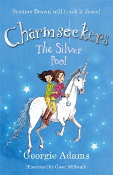 The Silver Pool, Paperback Book The Silver Pool, Paperback Book