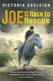 The Horseshoe Trilogy: Joe and the Race to Rescue : Book 3, Paperback / softback Book The Horseshoe Trilogy: Joe and the Race to Rescue : Book 3, Paperback / softback Book