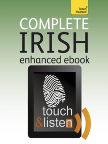 Complete Irish Beginner to Intermediate Book and Audio Course : Audio eBook