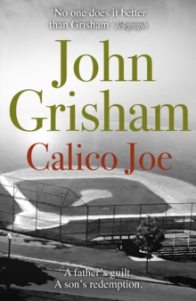 Calico Joe : An unforgettable novel about childhood, family, conflict and guilt, and forgiveness