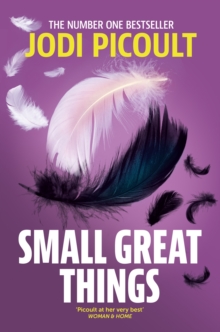 Small Great Things : The bestselling novel you won't want to miss