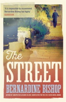The Street, Hardback Book The Street, Hardback Book