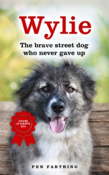 Wylie : The Brave Street Dog Who Never Gave Up