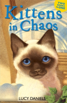 Kittens in Chaos : Siamese in the Sun & Cat in the Candlelight, Paperback Book Kittens in Chaos : Siamese in the Sun & Cat in the Candlelight, Paperback Book