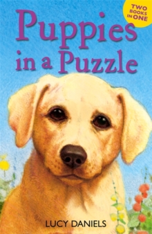 Puppies in a Puzzle : Dalmatian in the Dales & Labrador on the Lawn, Paperback Book Puppies in a Puzzle : Dalmatian in the Dales & Labrador on the Lawn, Paperback Book