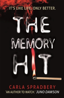 The Memory Hit, Paperback / softback Book The Memory Hit, Paperback / softback Book