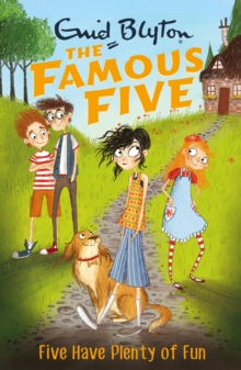 Five Have Plenty Of Fun : Book 14