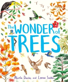 The Wonder of Trees, Hardback Book The Wonder of Trees, Hardback Book