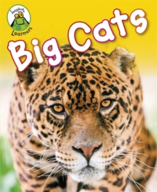 Big Cats, Paperback Book Big Cats, Paperback Book