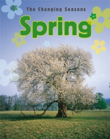 Spring, Paperback Book Spring, Paperback Book