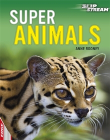 Super Animals, Paperback Book Super Animals, Paperback Book