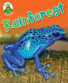 Leapfrog Learners: Rainforest, Paperback Book Leapfrog Learners: Rainforest, Paperback Book