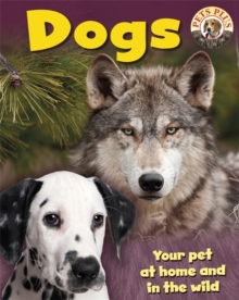 Dogs, Paperback Book Dogs, Paperback Book