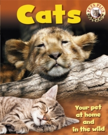 Pets Plus: Cats, Paperback / softback Book Pets Plus: Cats, Paperback / softback Book