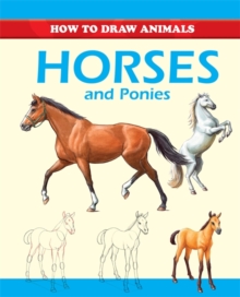 Horses and Ponies, Paperback Book Horses and Ponies, Paperback Book