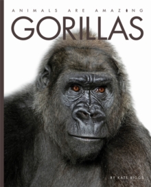 Gorillas, Hardback Book Gorillas, Hardback Book